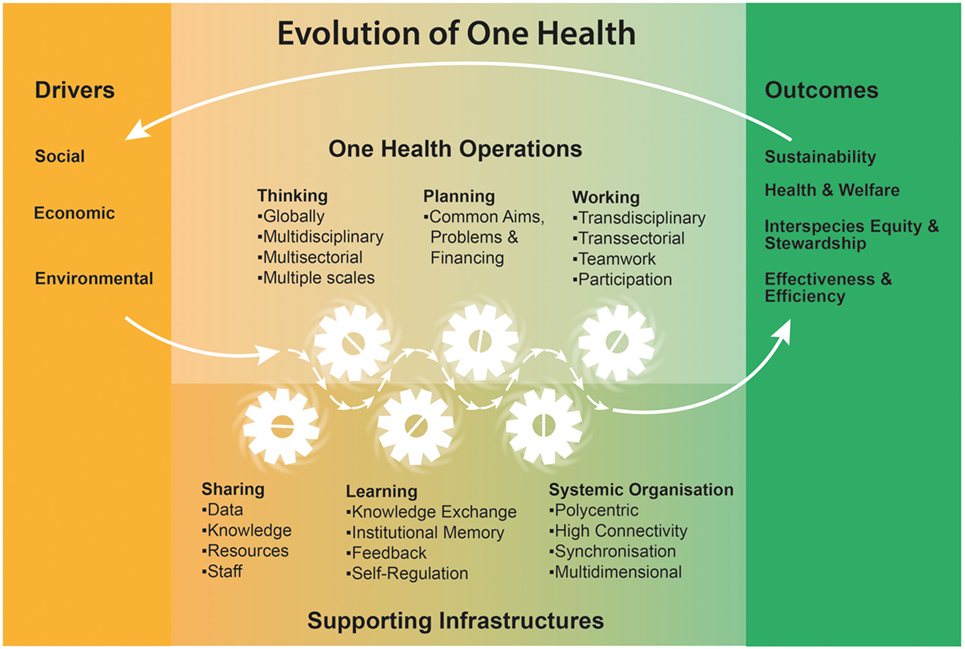 The One Health Approach: Addressing Interconnectedness of Human, Animal ...